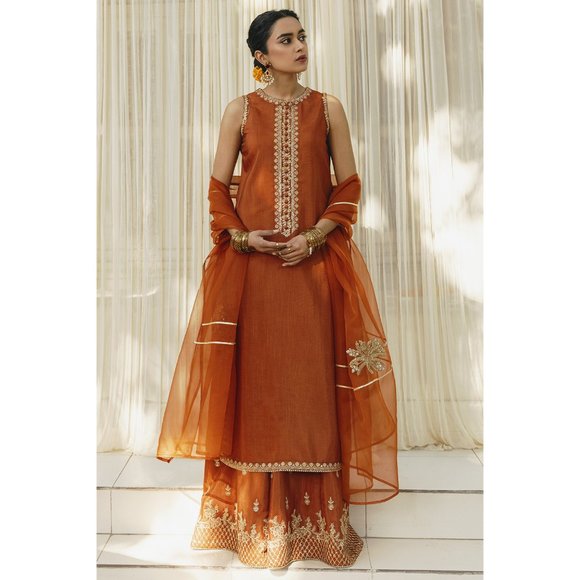Punjabi Pakistani Gorgeous Rust Outfit: Three-Piece Set! - Picture 4 of 6